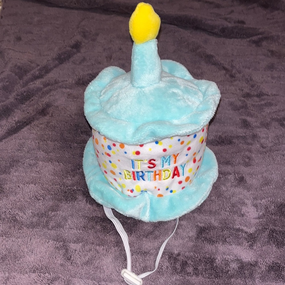 NWOT dog birthday hat